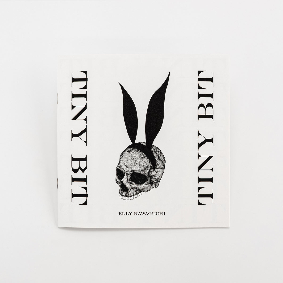 ZINE / 川口絵里衣