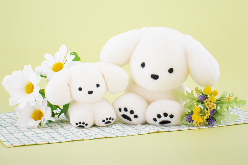 5/14 10:00 AM (JST) - 예약 지금 열려 [선주문 항목] 작은 개 박제 동물 / 테라 카나 츠미