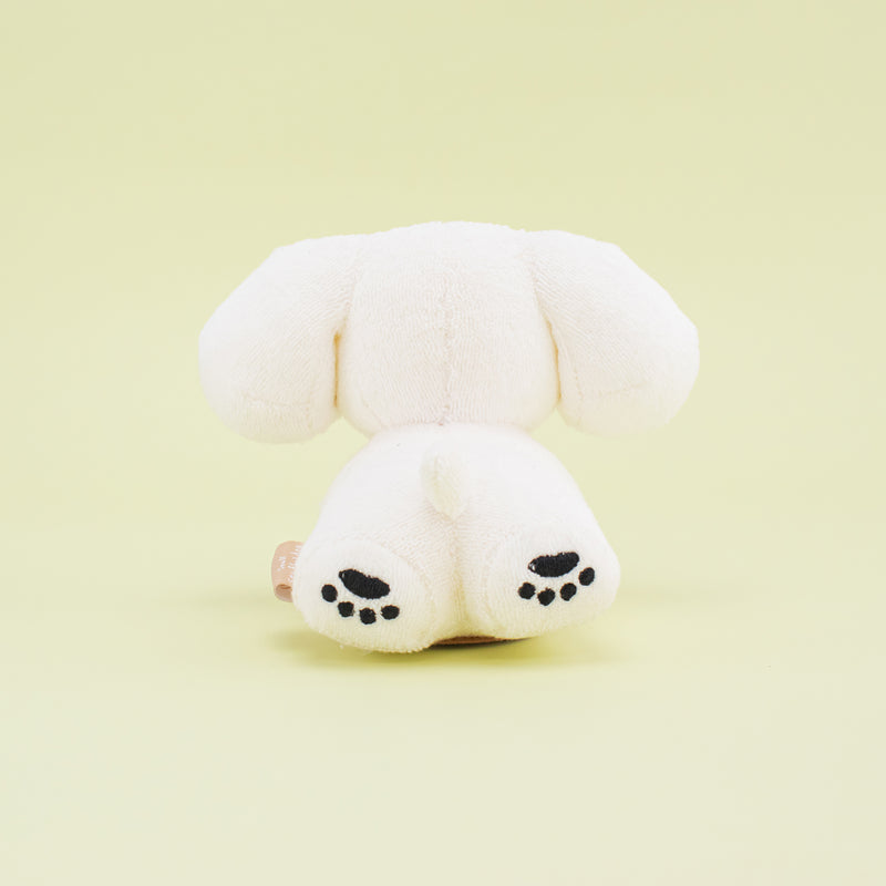 5/14 10:00 AM (JST) - 예약 지금 열려 [선주문 항목] 작은 개 박제 동물 / 테라 카나 츠미