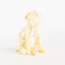 「犬A」/ 江頭誠