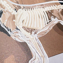 ニス盛りグラフィックカード3種セット / 角田麻有