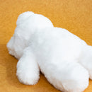 LITTLE FLUFFY  / 伊藤桂司