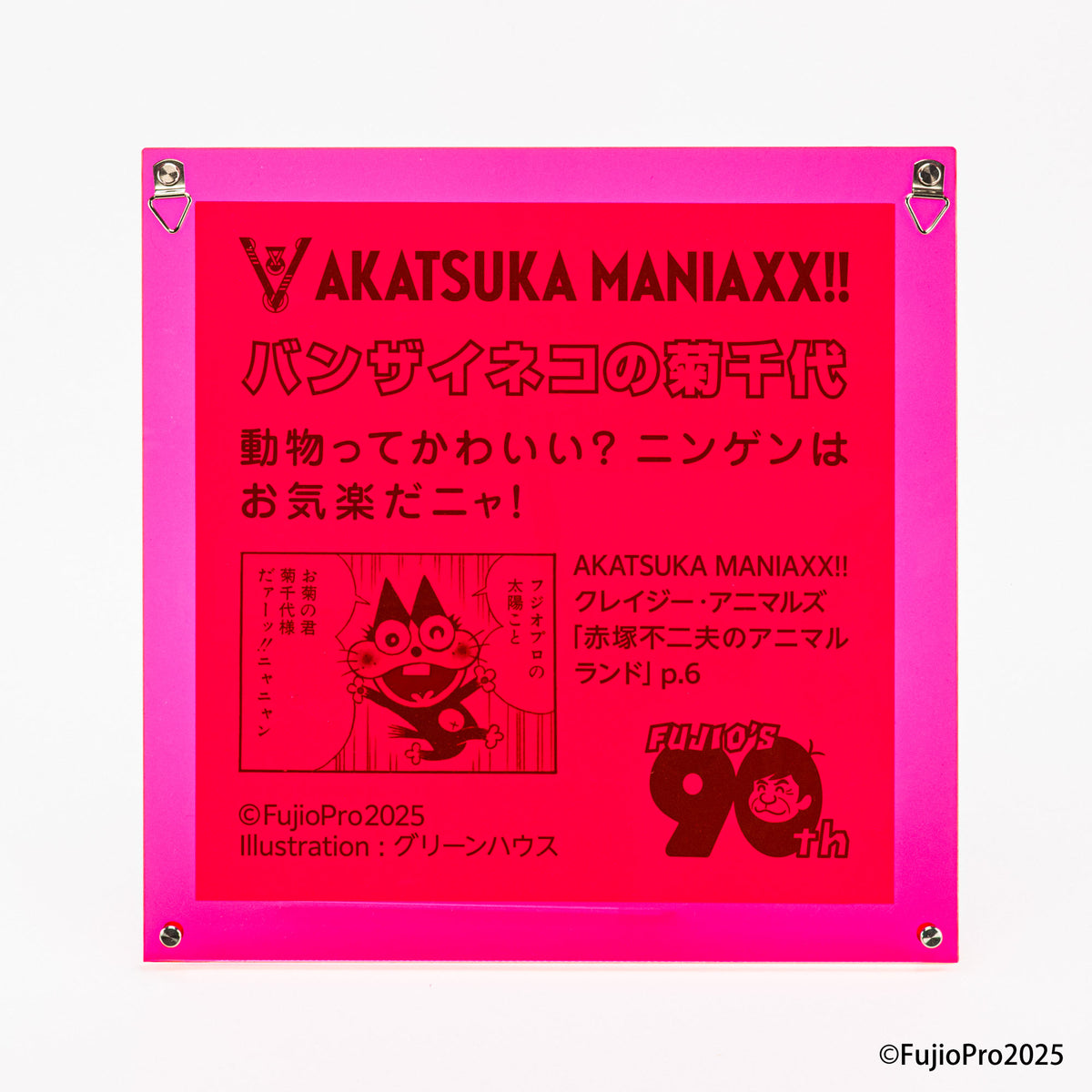 バンザイネコの菊千代 / グリーンハウス