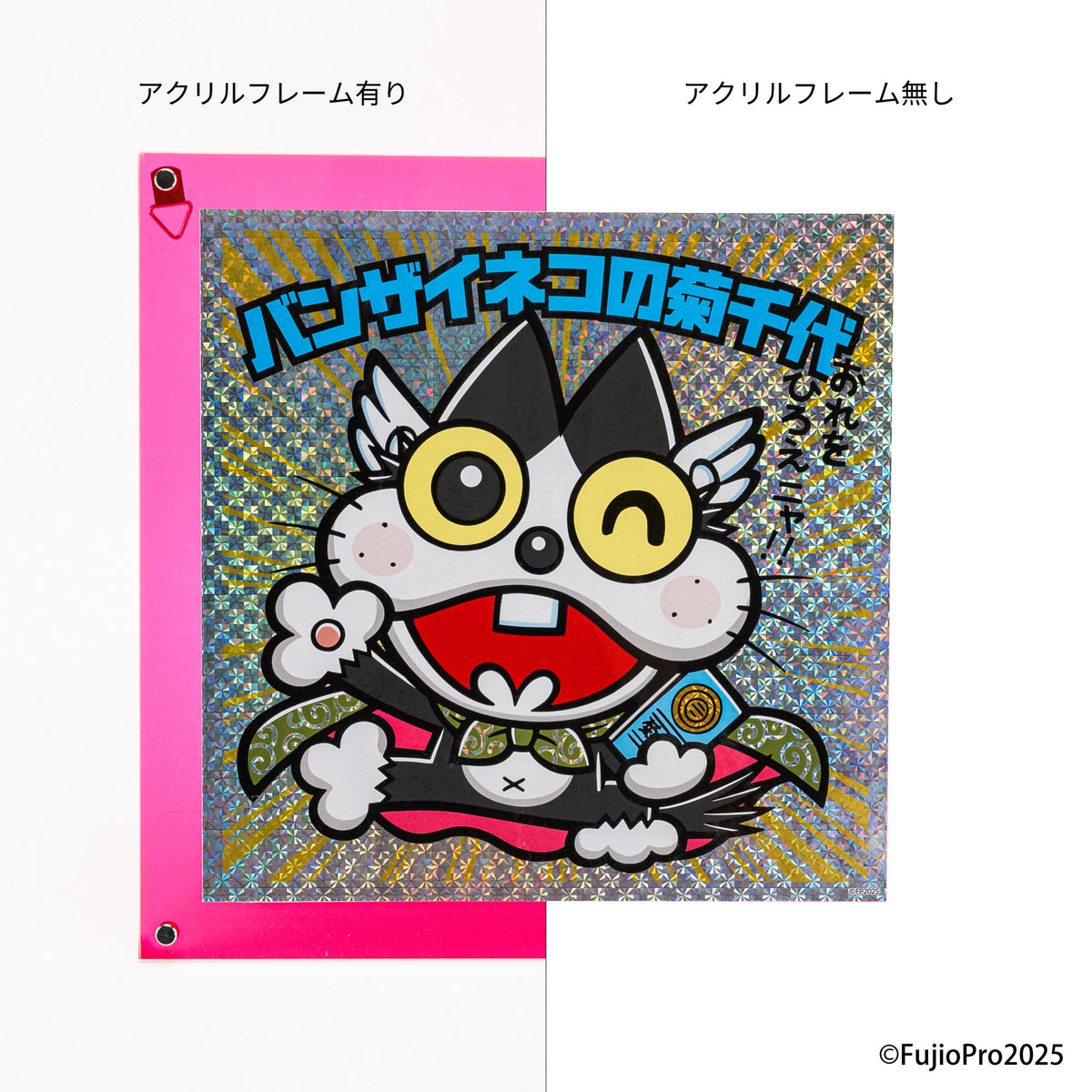 バンザイネコの菊千代 / グリーンハウス