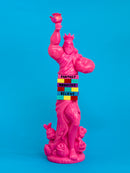 매혹적인 자유의 소년/구걸하는 멜로디어스 핑크 보이/야나기다 마사미