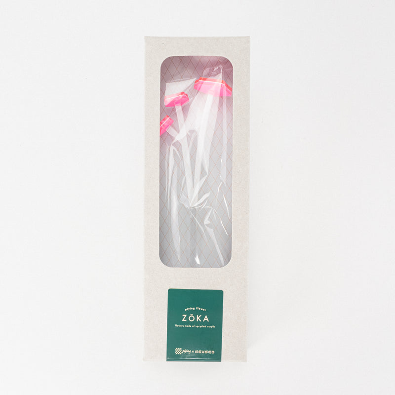 ZOKA / Kikyo / 01 / NEWSED