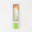 ZOKA / Kikyo / 03 / NEWSED