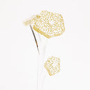 ZOKA / Kikyo / 09 / NEWSED