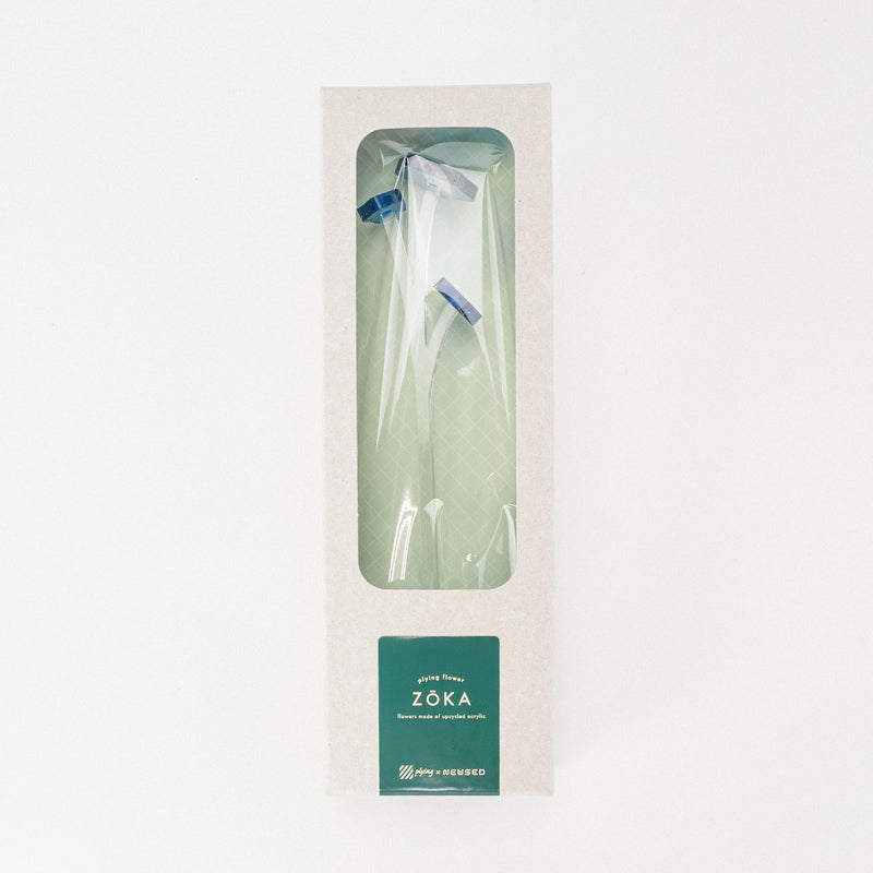 ZOKA / Kikyo / 12 / NEWSED