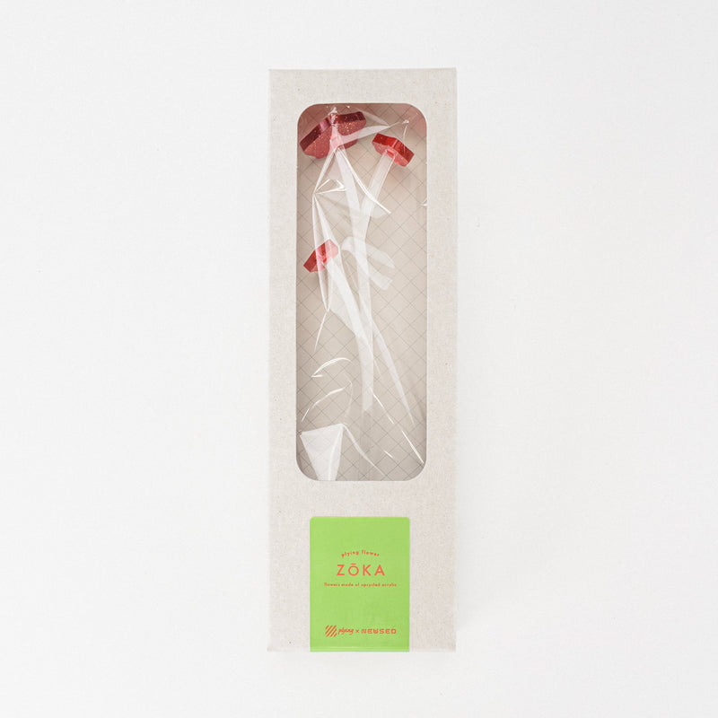 ZOKA / Kikyo / 15 / NEWSED