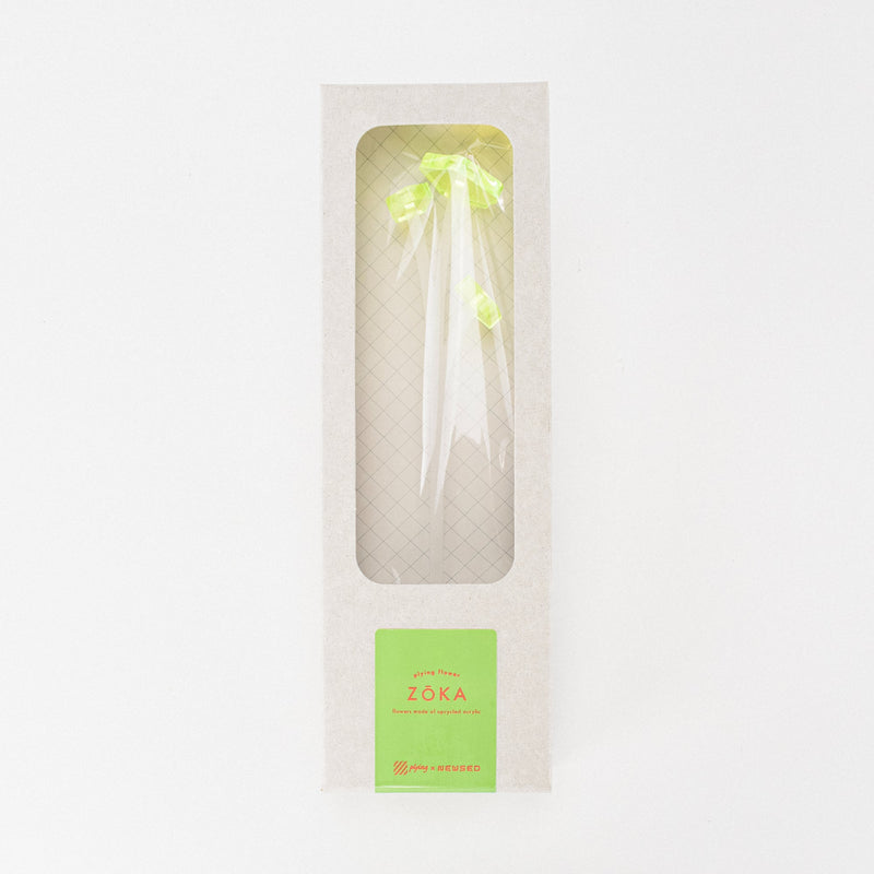 ZOKA / Kikyo / 19 / NEWSED