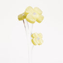 ZOKA / Lilac / 09 / NEWSED