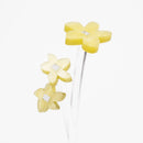 ZOKA / Mokara / 01 / NEWSED