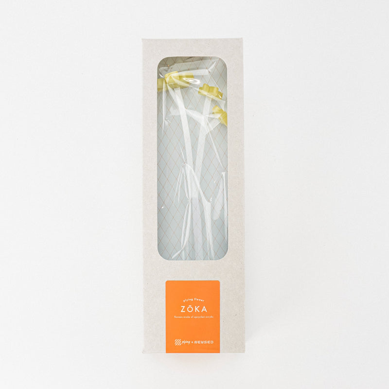 ZOKA/Mokara/01/NEWSED