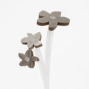 ZOKA / Mokara / 06 / NEWSED