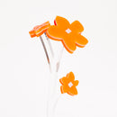 ZOKA / Mokara / 08 / NEWSED