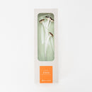 ZOKA / Mokara / 12 / NEWSED