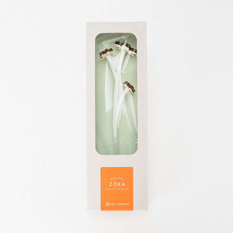 ZOKA / Mokara / 12 / NEWSED