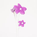 ZOKA / Mokara / 18 / NEWSED