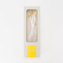 ZOKA / Mokara / 19 / NEWSED