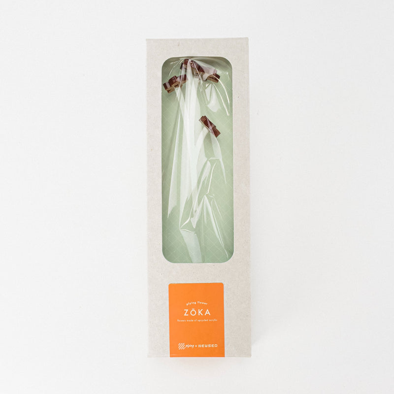 ZOKA / Mokara / 20 / NEWSED