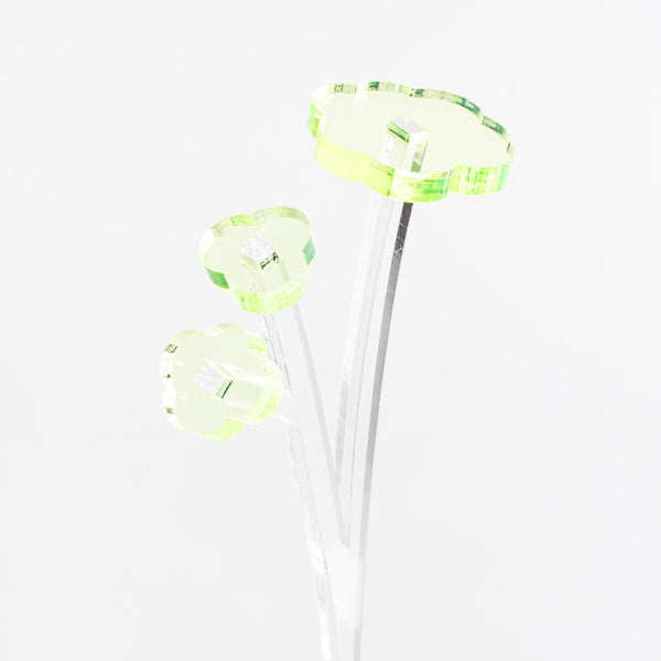 ZOKA / CLOUD FLOWER / 13 / NEWSED