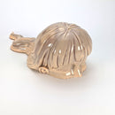 波磨茜也香 / A SOAKING GIRL マーブル ブラウン✕ベージュ