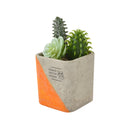 URBAN GREEN MAKERS / アーバングリーンメイカーズ MINIATURE COLLECTION