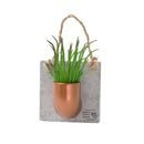 URBAN GREEN MAKERS / アーバングリーンメイカーズ MINIATURE COLLECTION