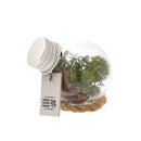 URBAN GREEN MAKERS / アーバングリーンメイカーズ MINIATURE COLLECTION