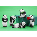 스타 스타 팬더 포징 피규어 컬렉션