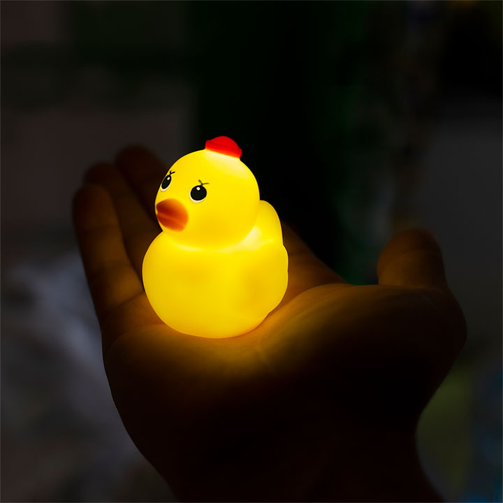 duck captain miniature light