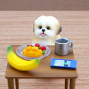 モコゾウ フィギュアコレクション