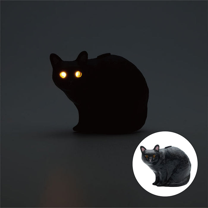 cats in the dark