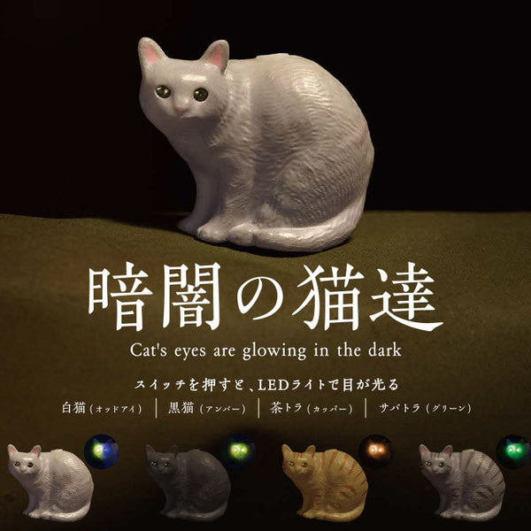 暗闇の猫達