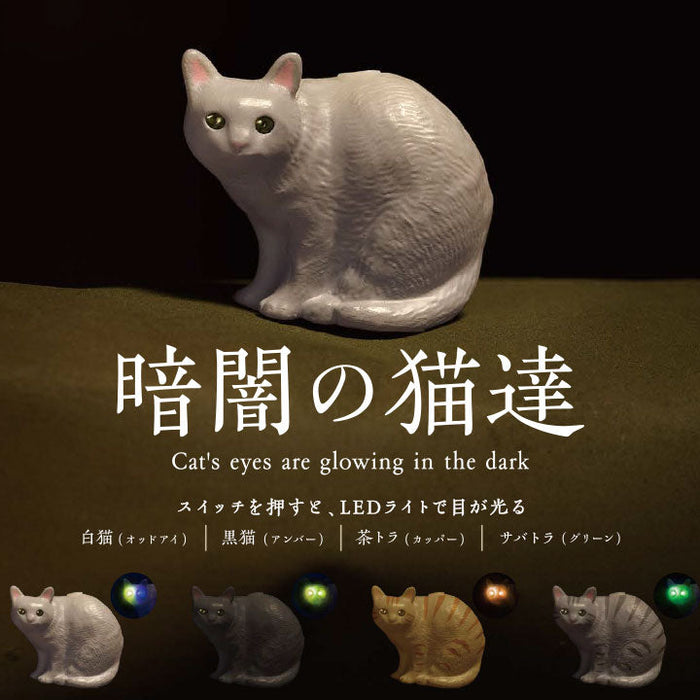 cats in the dark