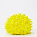 福田利之『くりさぶろう』出版記念 絵本＋ソフビスペシャル版セット